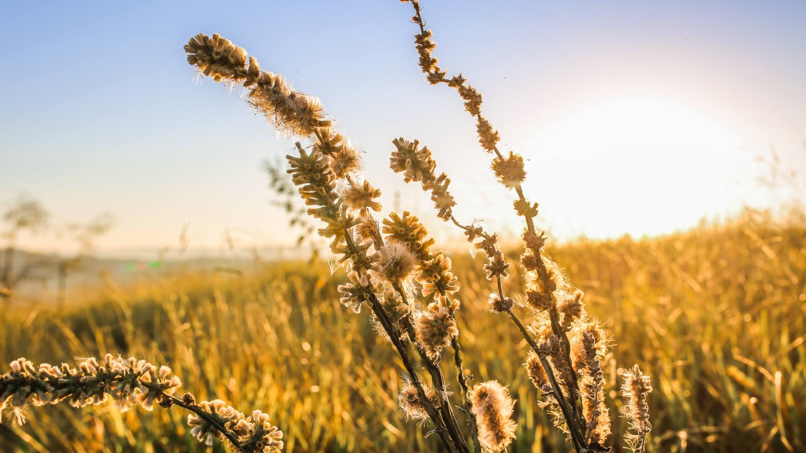 Lote de 877 m² Residencial Santa Monica Itupeva